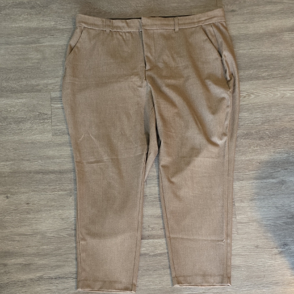 torrid Brown Dress Pants
